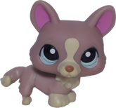 #1158 Corgi